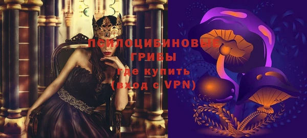 PSILOCYBIN Ростов